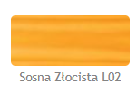 kolor sosna złocista